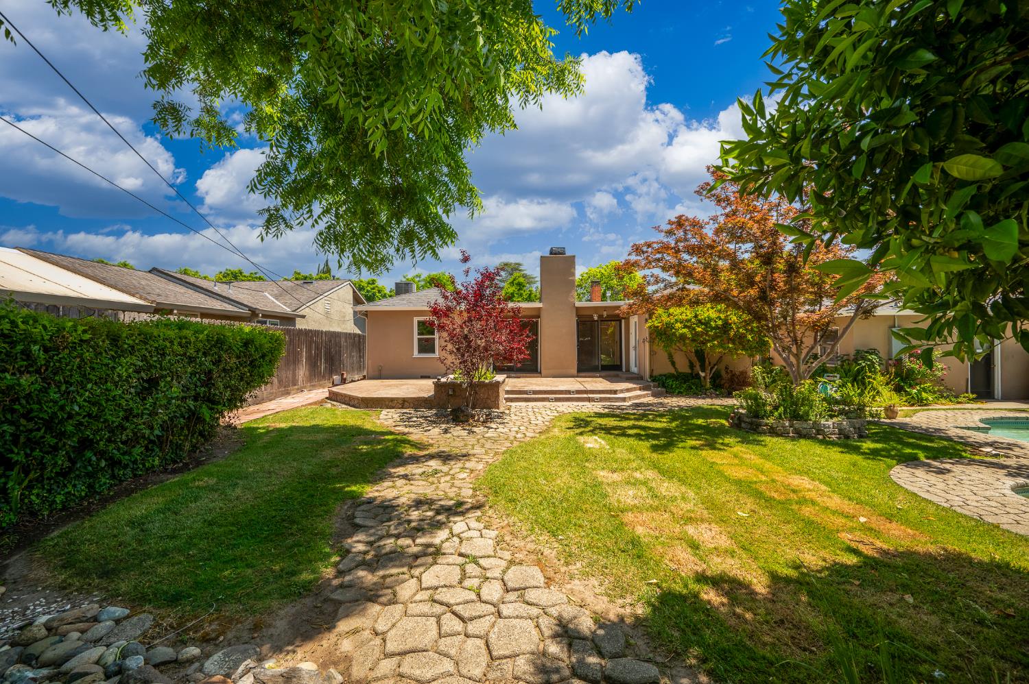 Sycamore, Modesto, California image 39