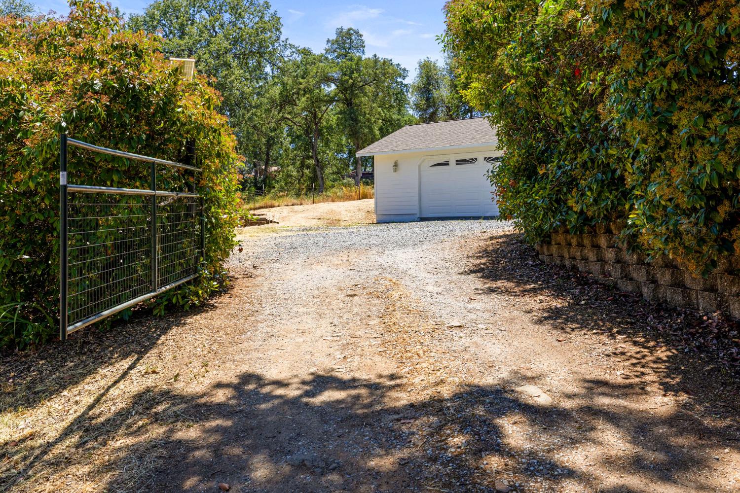 Panorama Drive, Placerville, California image 4