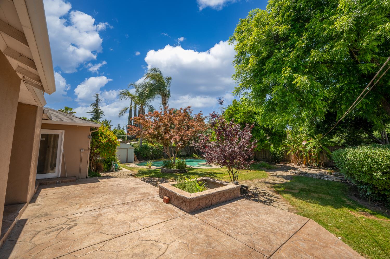 Sycamore, Modesto, California image 36