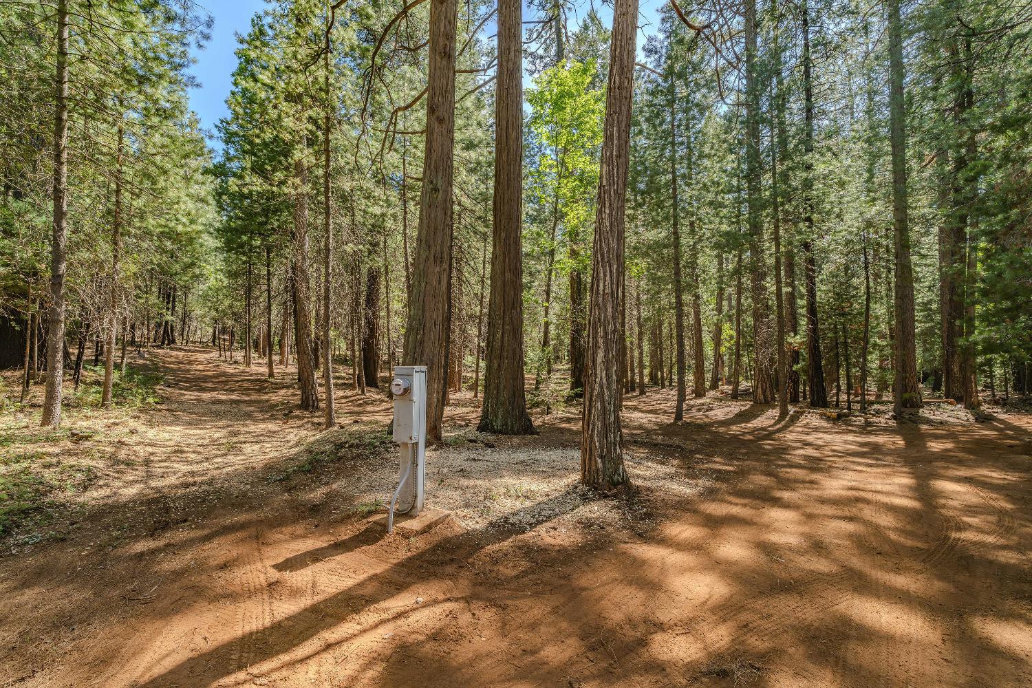 Detail Gallery Image 2 of 35 For 19375 Cherokee Ln, Volcano,  CA 95689 - – Beds | – Baths