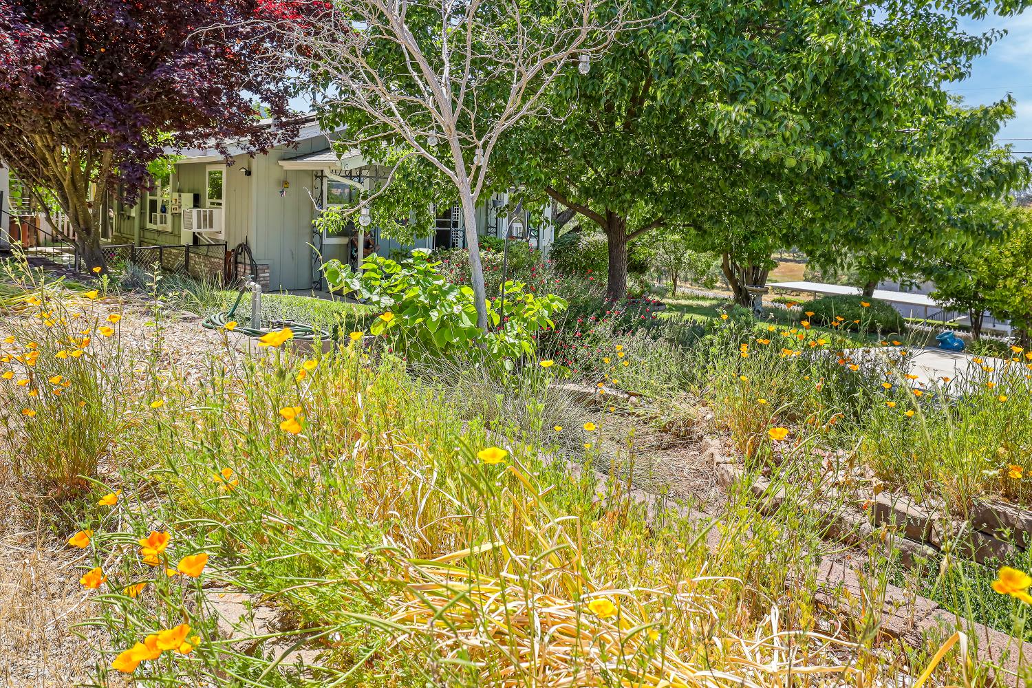 Detail Gallery Image 59 of 76 For 457 Russell Rd, San Andreas,  CA 95249 - 2 Beds | 1 Baths