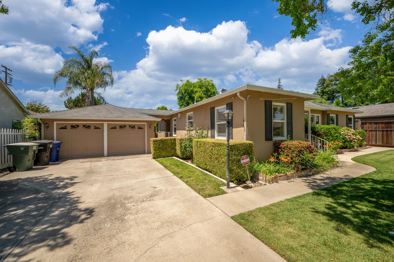 Sycamore, Modesto, California image 4