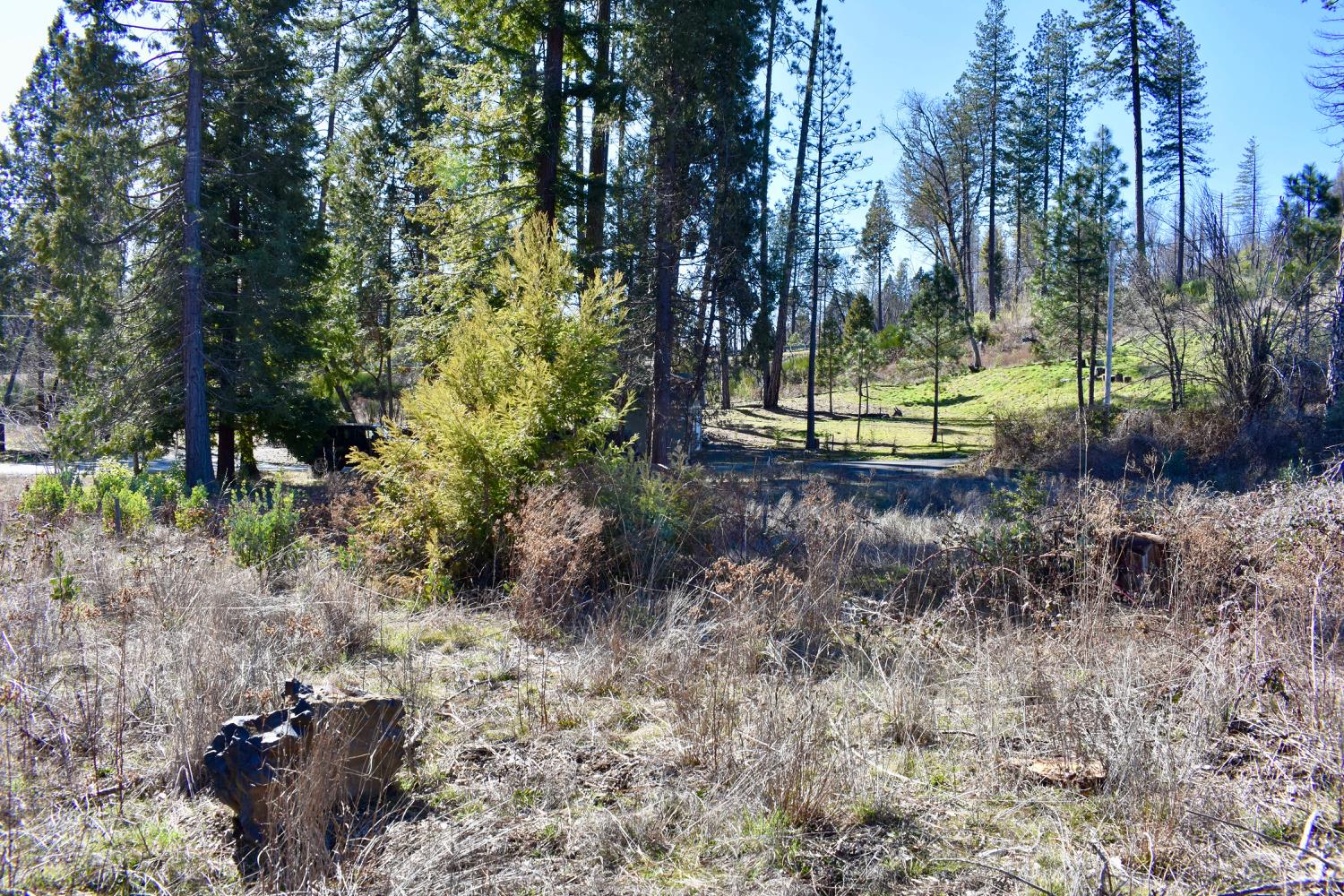 Detail Gallery Image 26 of 30 For 20 Sw Meadow Ln, Berry Creek,  CA 95916 - – Beds | – Baths