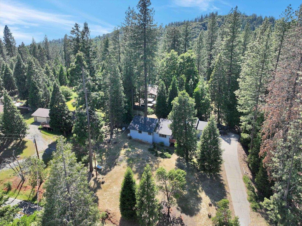 Detail Gallery Image 3 of 50 For 16625 Alpine Ln, Pioneer,  CA 95666 - 3 Beds | 2 Baths