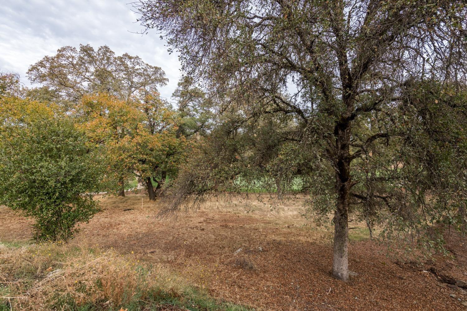 Detail Gallery Image 6 of 13 For 23414 Alexis Dr, Auburn,  CA 95602 - – Beds | – Baths