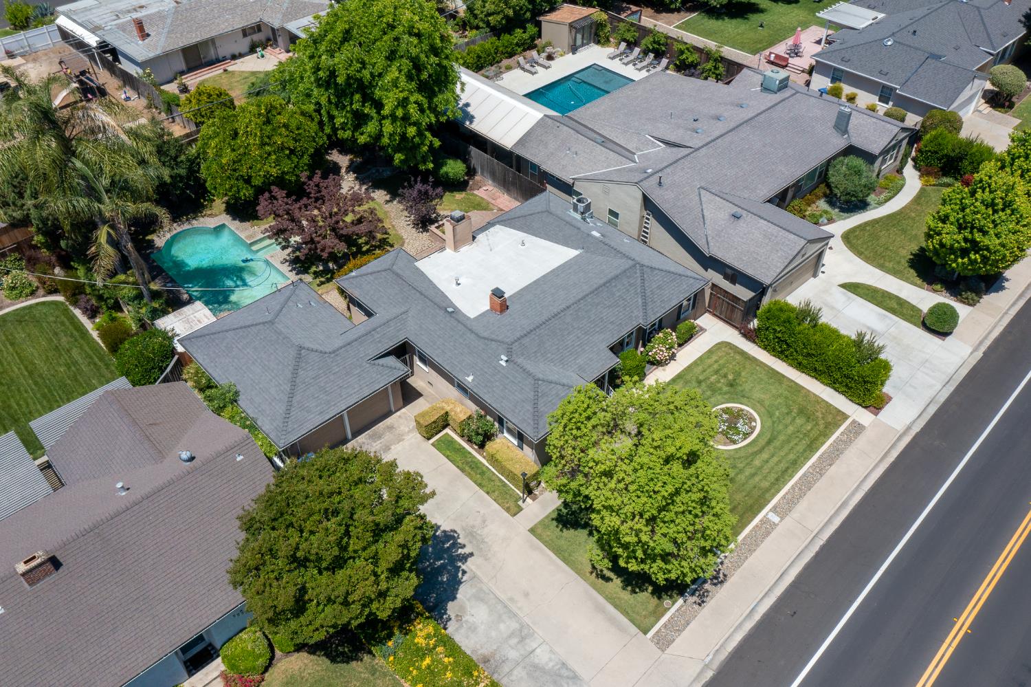 Sycamore, Modesto, California image 10