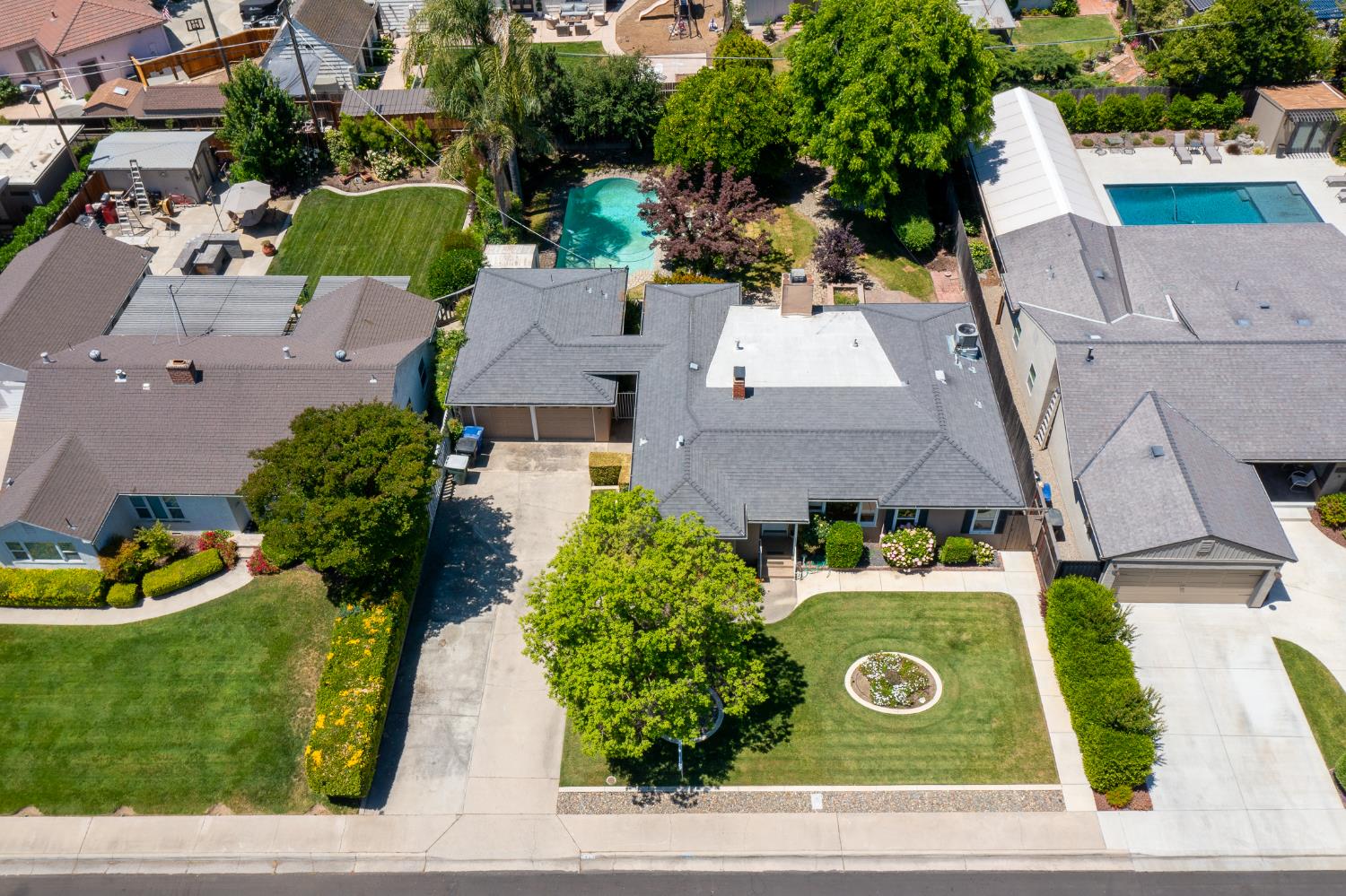Sycamore, Modesto, California image 8