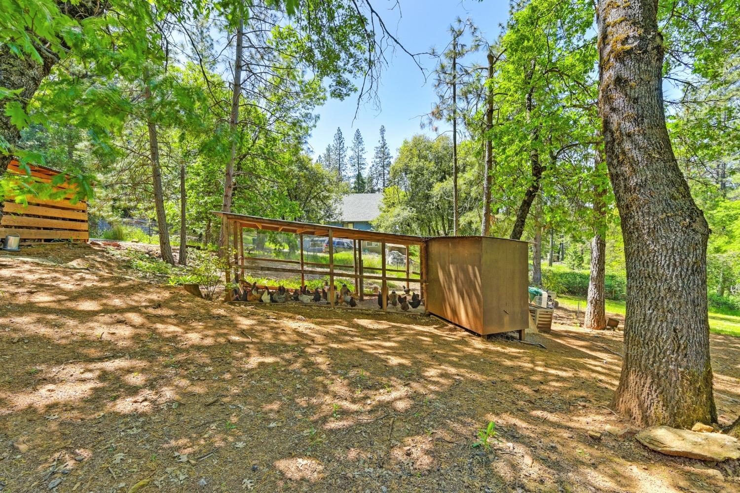 Detail Gallery Image 41 of 52 For 1788 Edgewater Ct, Greenwood,  CA 95635 - 3 Beds | 2 Baths