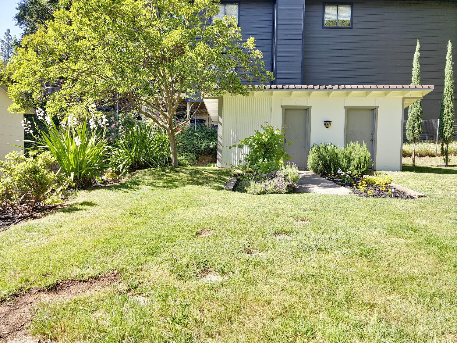 Detail Gallery Image 16 of 18 For 1284 Roxie Way, Placerville,  CA 95667 - 3 Beds | 1 Baths