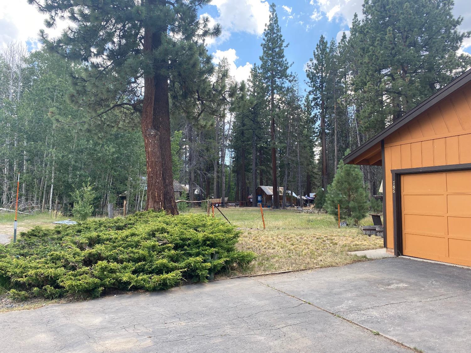Detail Gallery Image 31 of 34 For 786 Colorado Ave, South Lake Tahoe,  CA 96150 - 3 Beds | 2 Baths