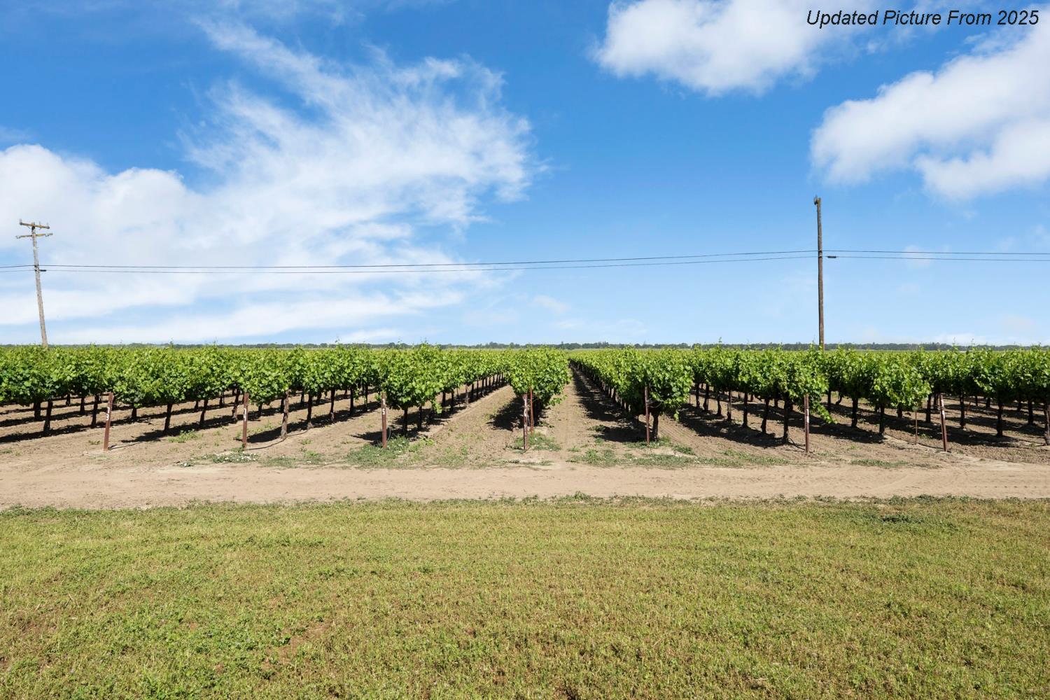 Detail Gallery Image 96 of 97 For 39670 S River Rd, Clarksburg,  CA 95612 - 5 Beds | 1/1 Baths