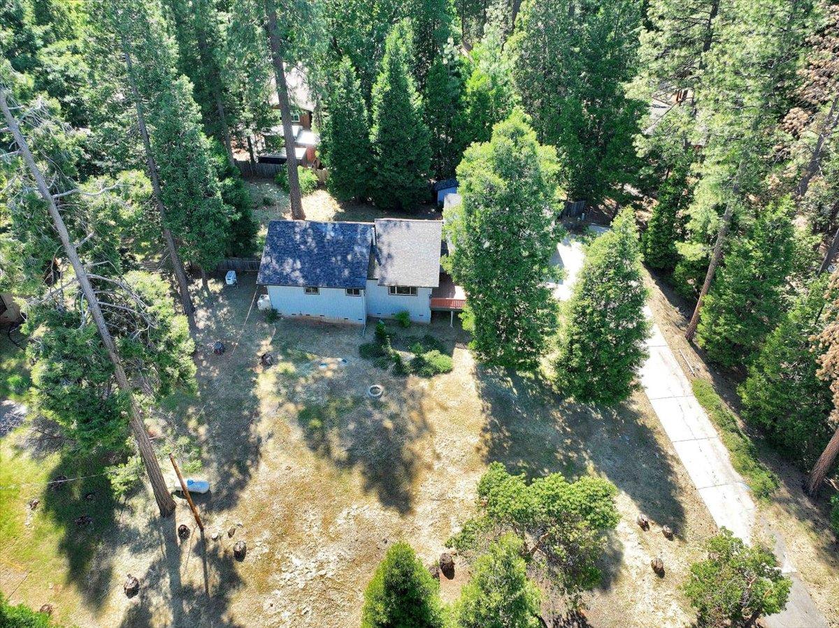 Detail Gallery Image 45 of 50 For 16625 Alpine Ln, Pioneer,  CA 95666 - 3 Beds | 2 Baths