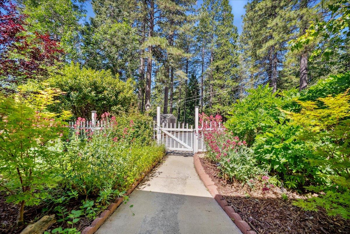 Detail Gallery Image 3 of 35 For 4322 Ponderosa Way, Camino,  CA 95709 - 3 Beds | 2 Baths