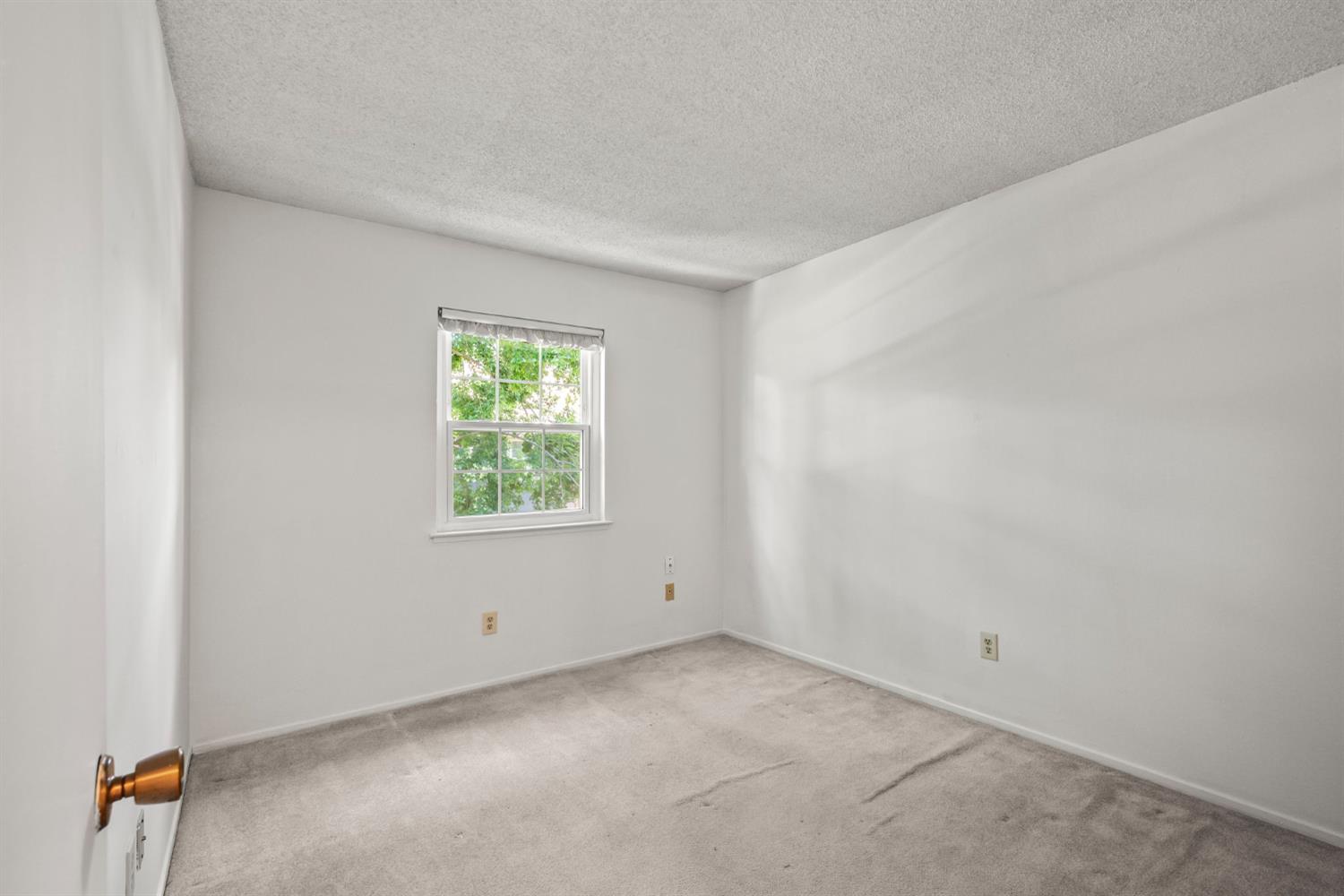 Photo #24: 225065522 Listing: Photo #24