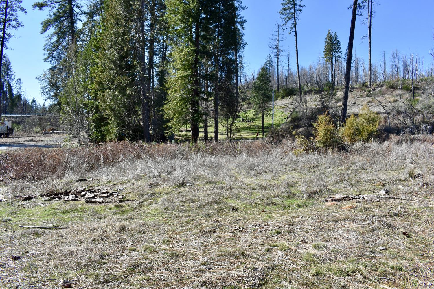 Detail Gallery Image 24 of 30 For 20 Sw Meadow Ln, Berry Creek,  CA 95916 - – Beds | – Baths