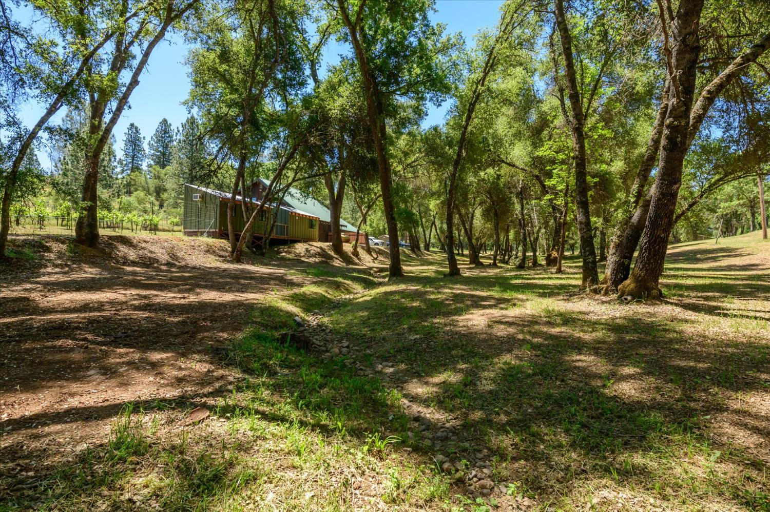 Detail Gallery Image 45 of 57 For 13885 Wilma Ct, Fiddletown,  CA 95629 - 2 Beds | 2 Baths
