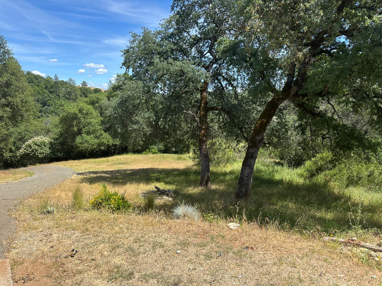 Idle Creek Drive, Shingle Springs, California image 7