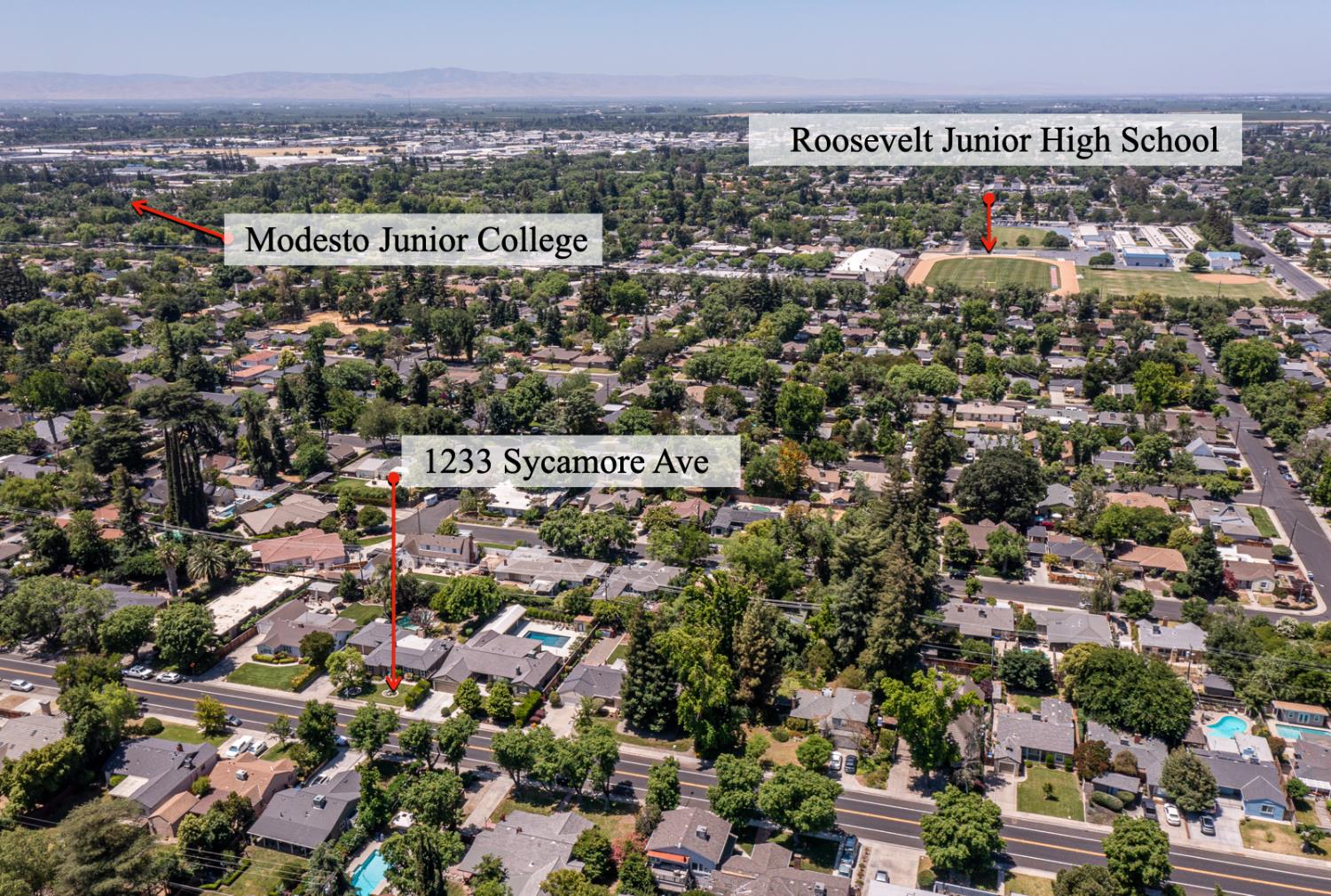 Sycamore, Modesto, California image 11