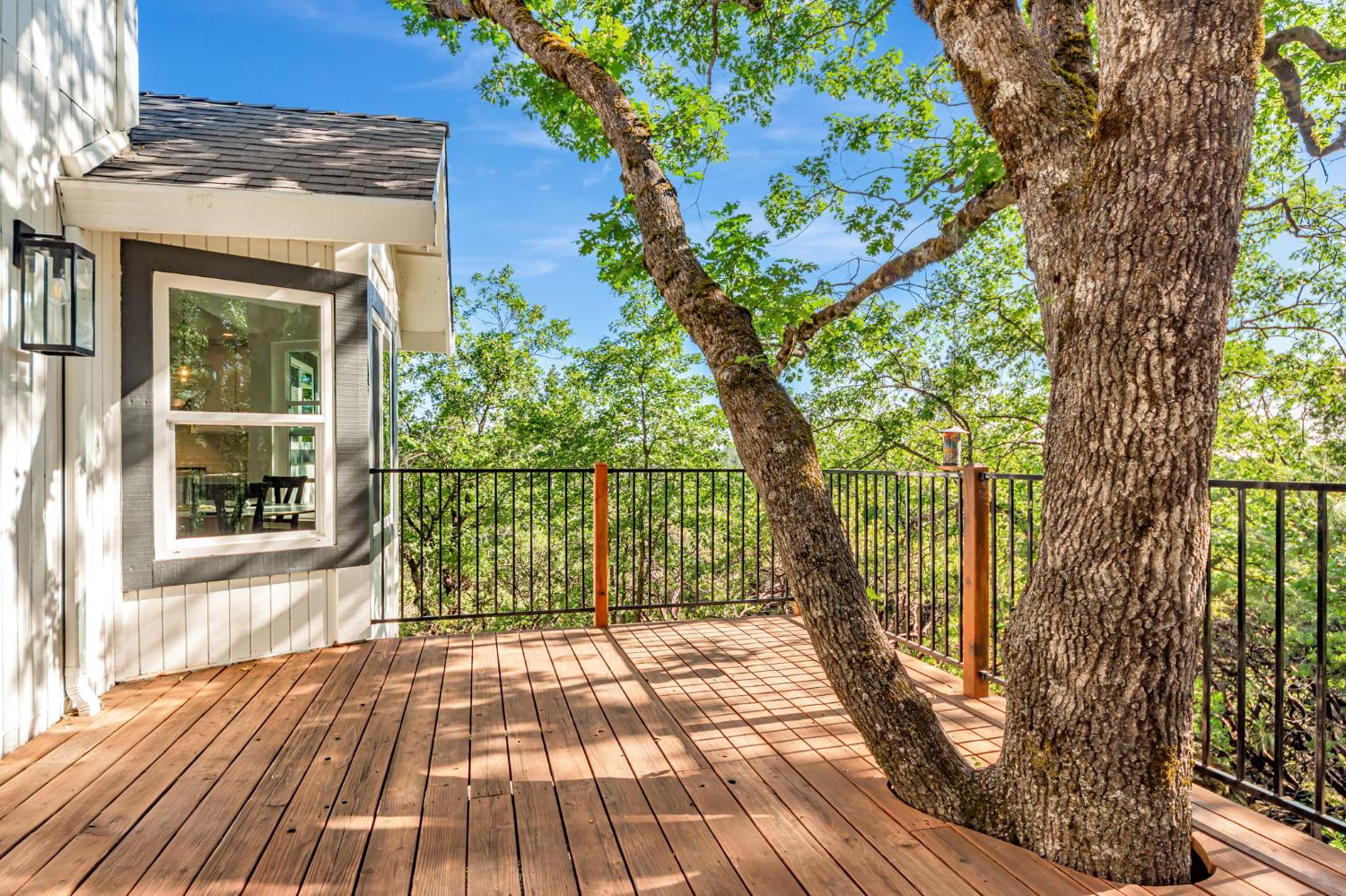 Detail Gallery Image 71 of 85 For 305 Nob Hill Dr, Applegate,  CA 95703 - 4 Beds | 2/1 Baths