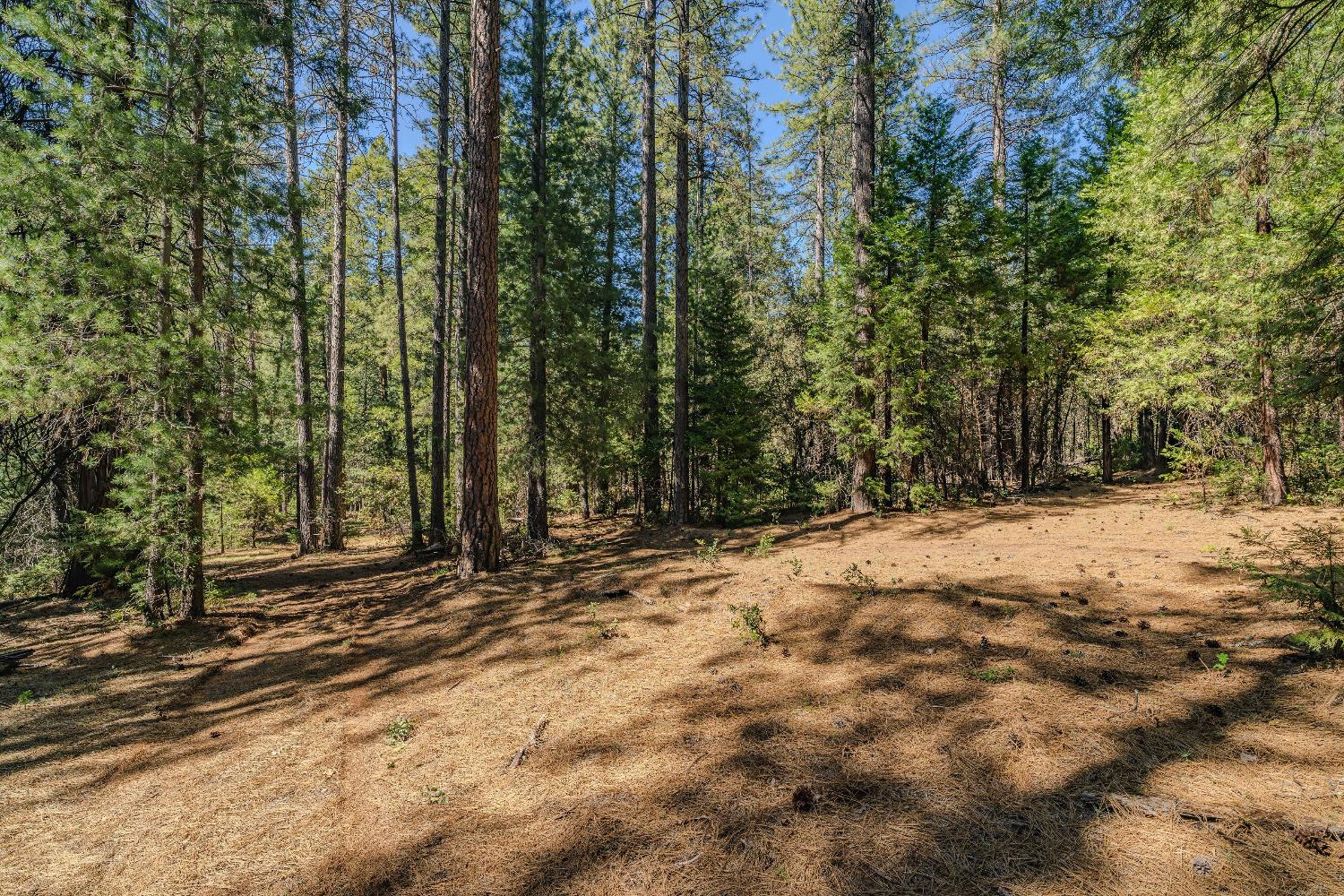 Detail Gallery Image 26 of 35 For 19375 Cherokee Ln, Volcano,  CA 95689 - – Beds | – Baths