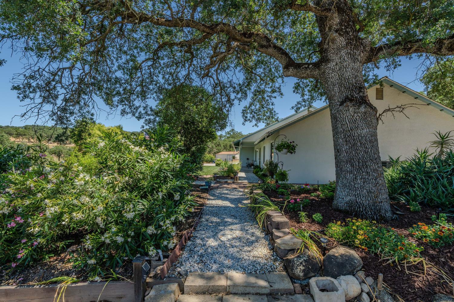 Baldwin Street, Valley Springs, California image 6