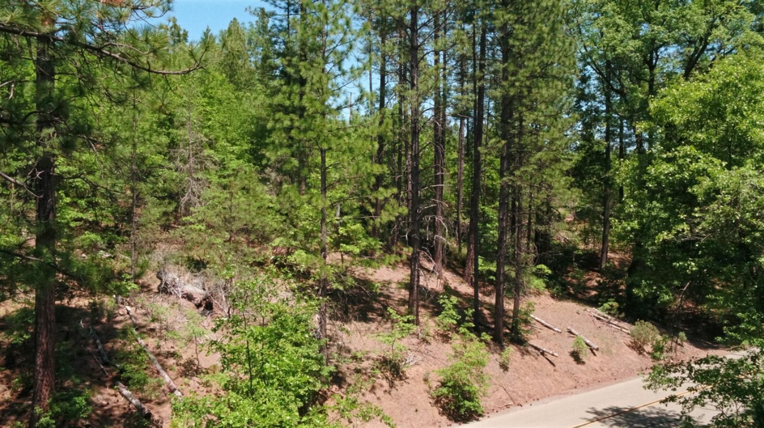 Detail Gallery Image 17 of 52 For 6832 Dudley Ranch Rd, Coulterville,  CA 9531 - 3 Beds | 2 Baths