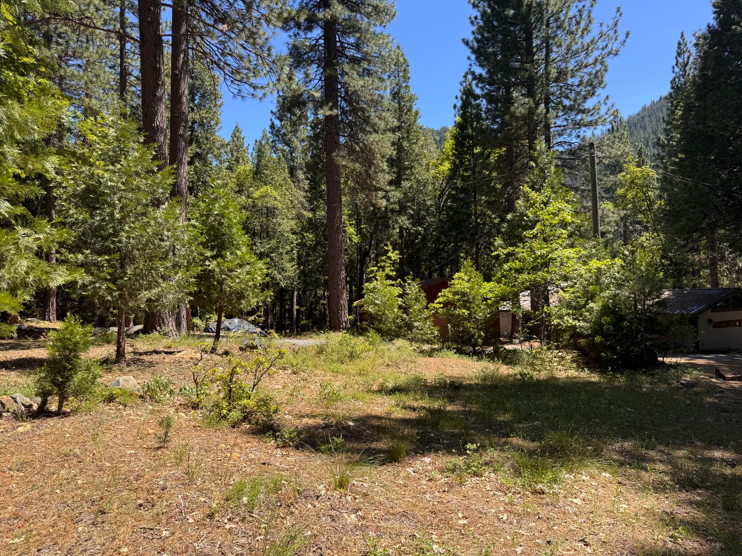 Tamarack Bend, Sierra City, California image 9