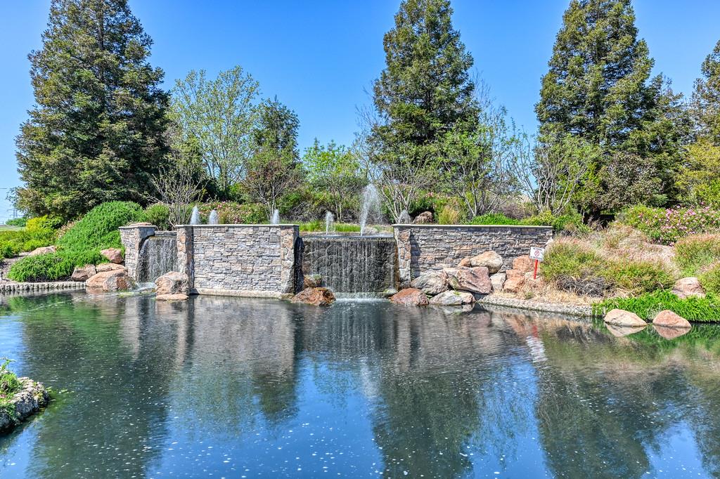 Buggy Whip Lane, Roseville, California image 34