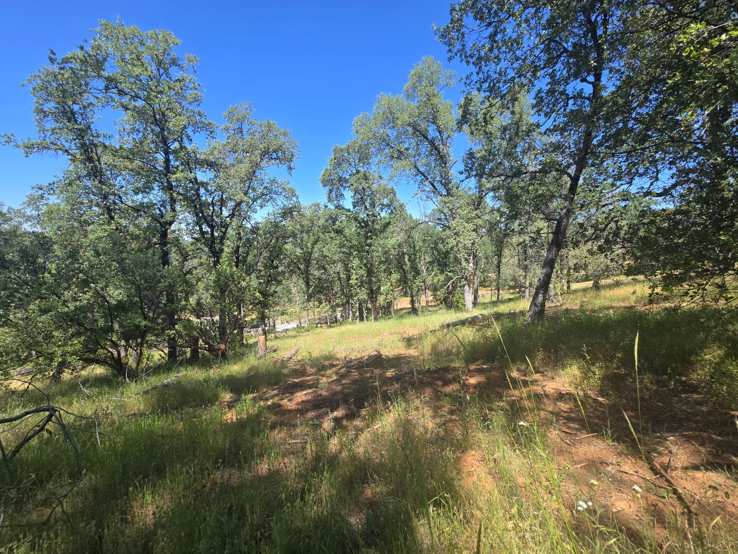Stewart Mine Road, Placerville, California image 25
