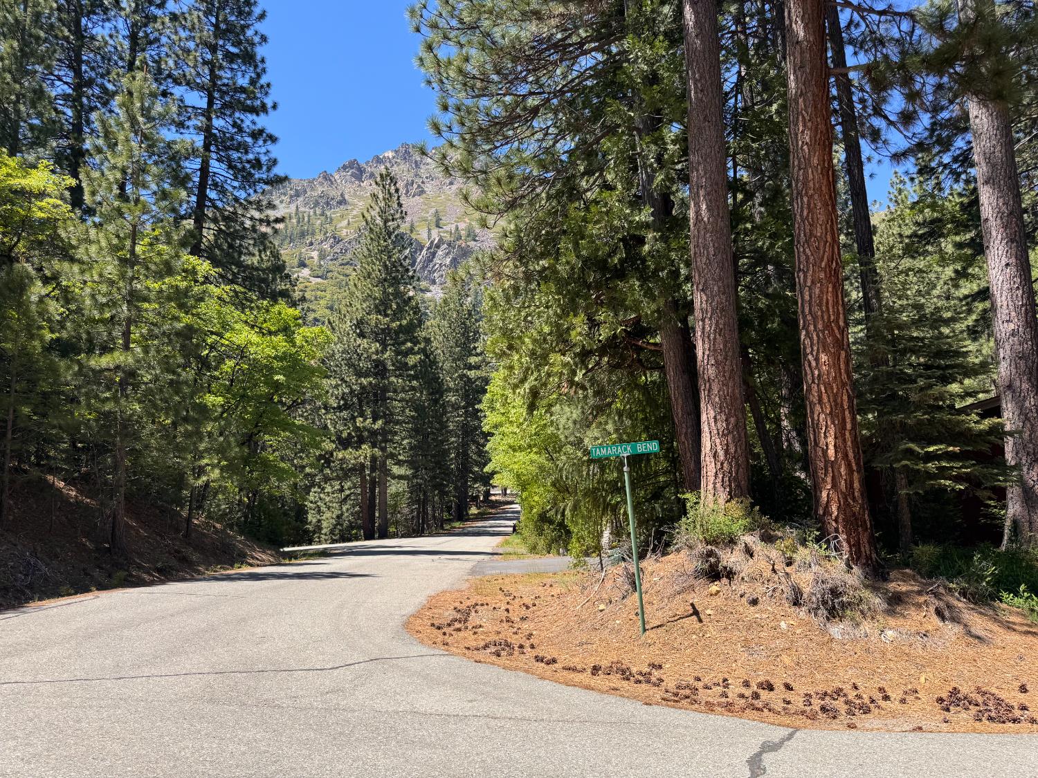 Tamarack Bend, Sierra City, California image 5