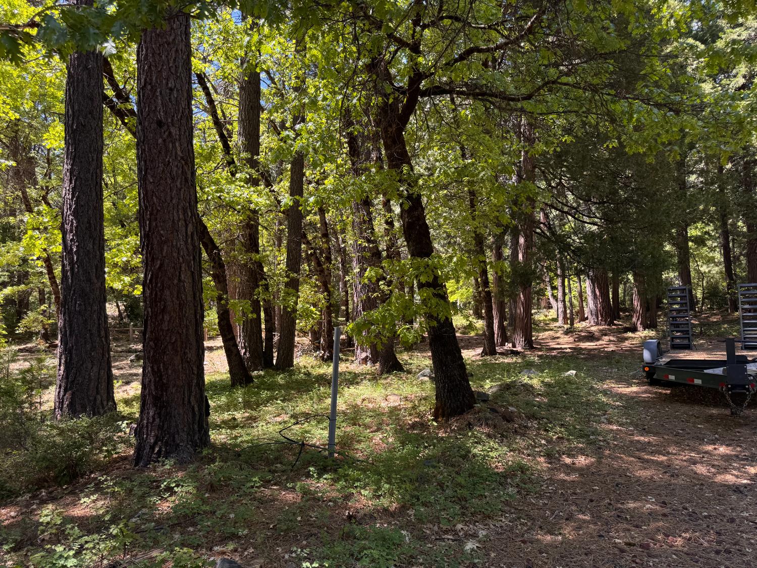 Tamarack Bend, Sierra City, California image 13
