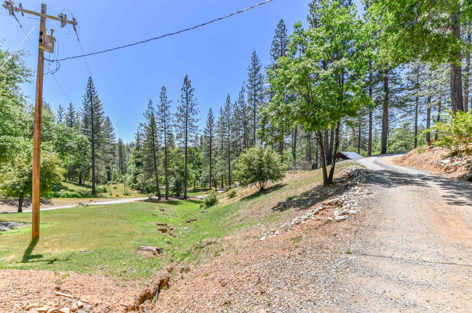 Gorley Lane, Rail Road Flat, California image 44