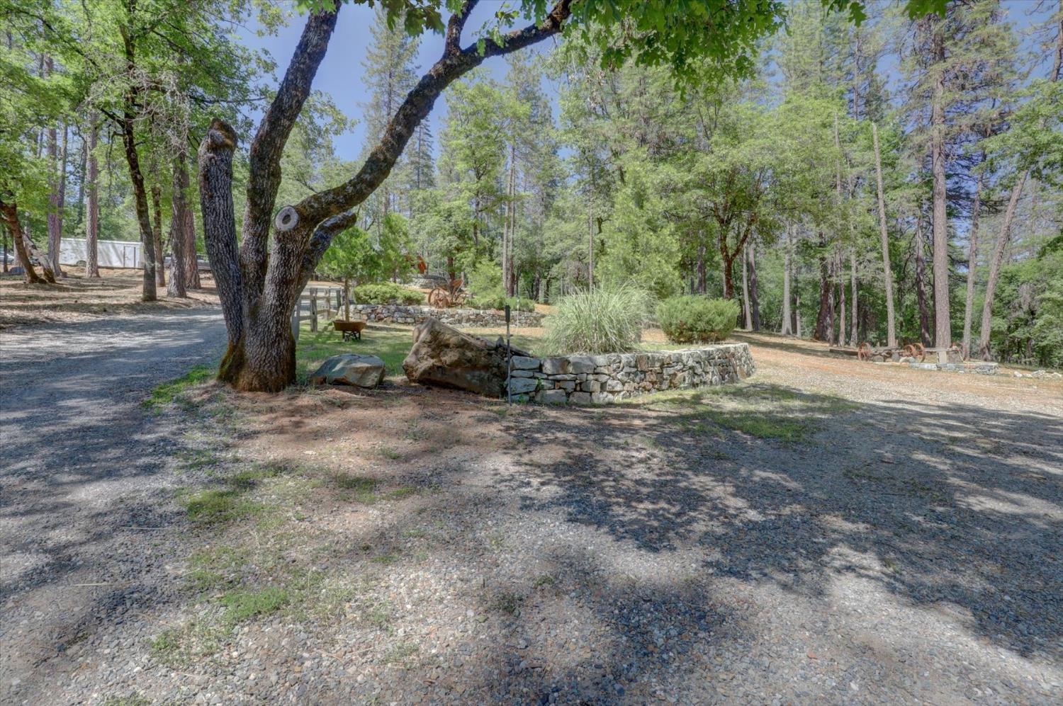 Capitol Drive, Grass Valley, California image 40