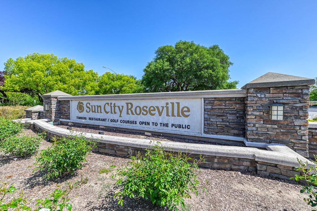 Buggy Whip Lane, Roseville, California image 33