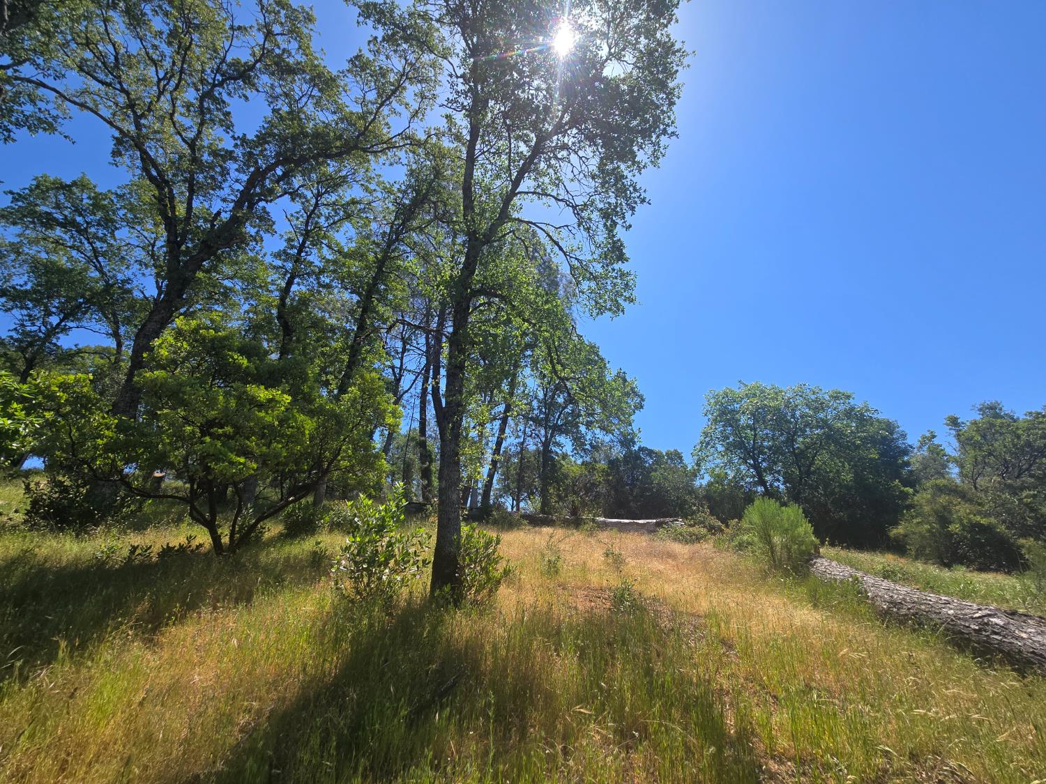 Stewart Mine Road, Placerville, California image 20