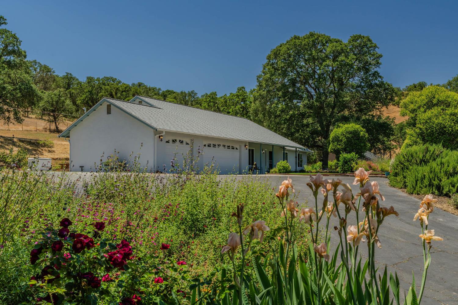 Baldwin Street, Valley Springs, California image 1