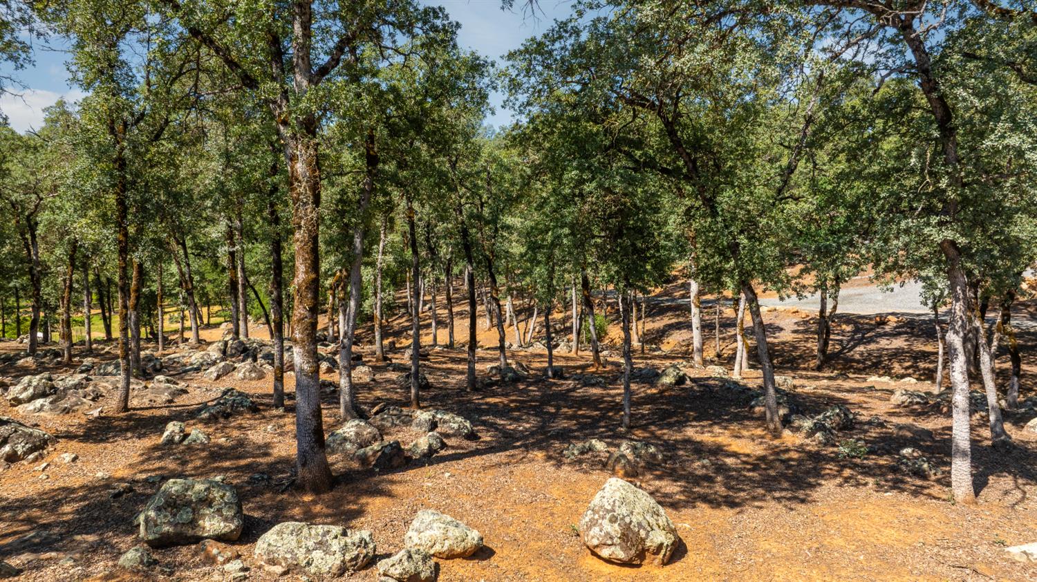 Moss Rock Dr, Auburn, California image 36