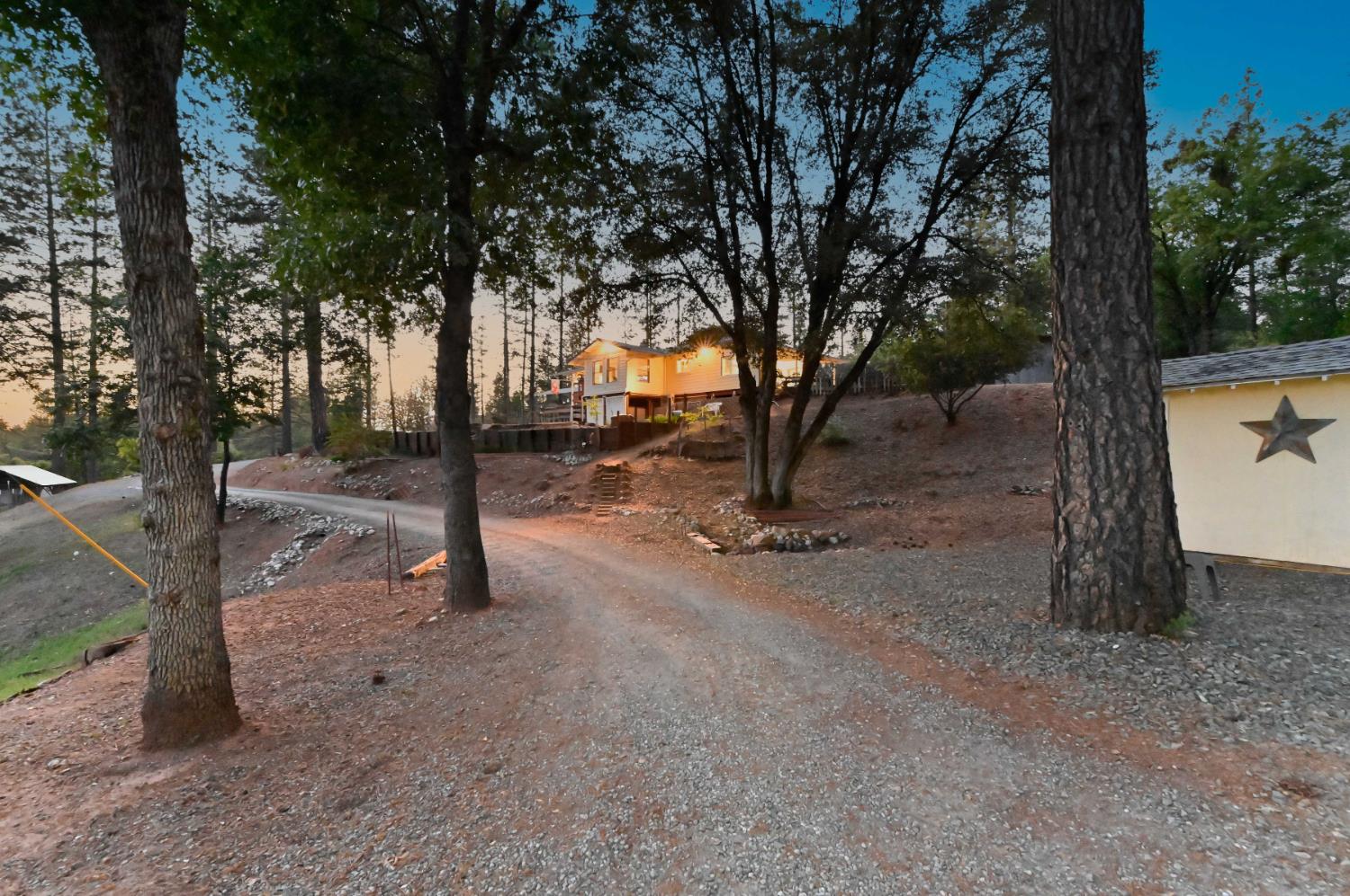 Gorley Lane, Rail Road Flat, California image 40