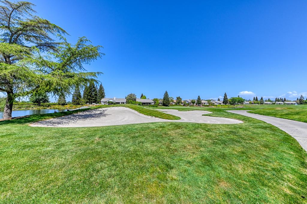 Buggy Whip Lane, Roseville, California image 37
