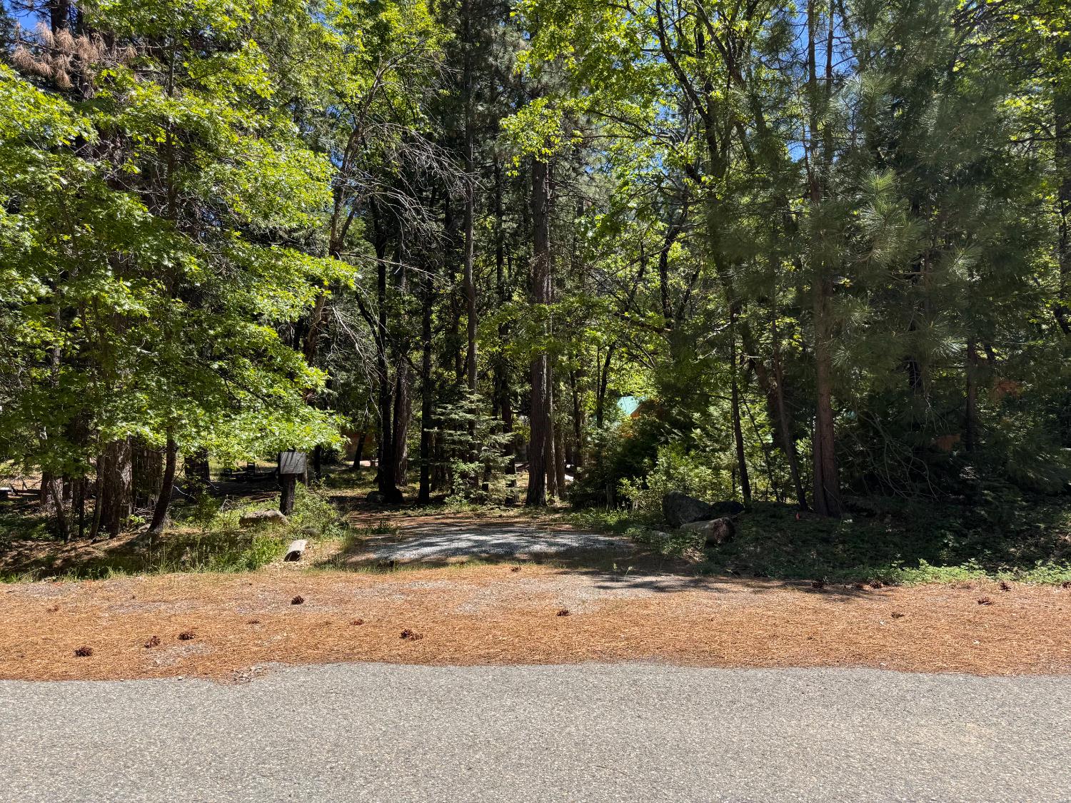 Tamarack Bend, Sierra City, California image 3