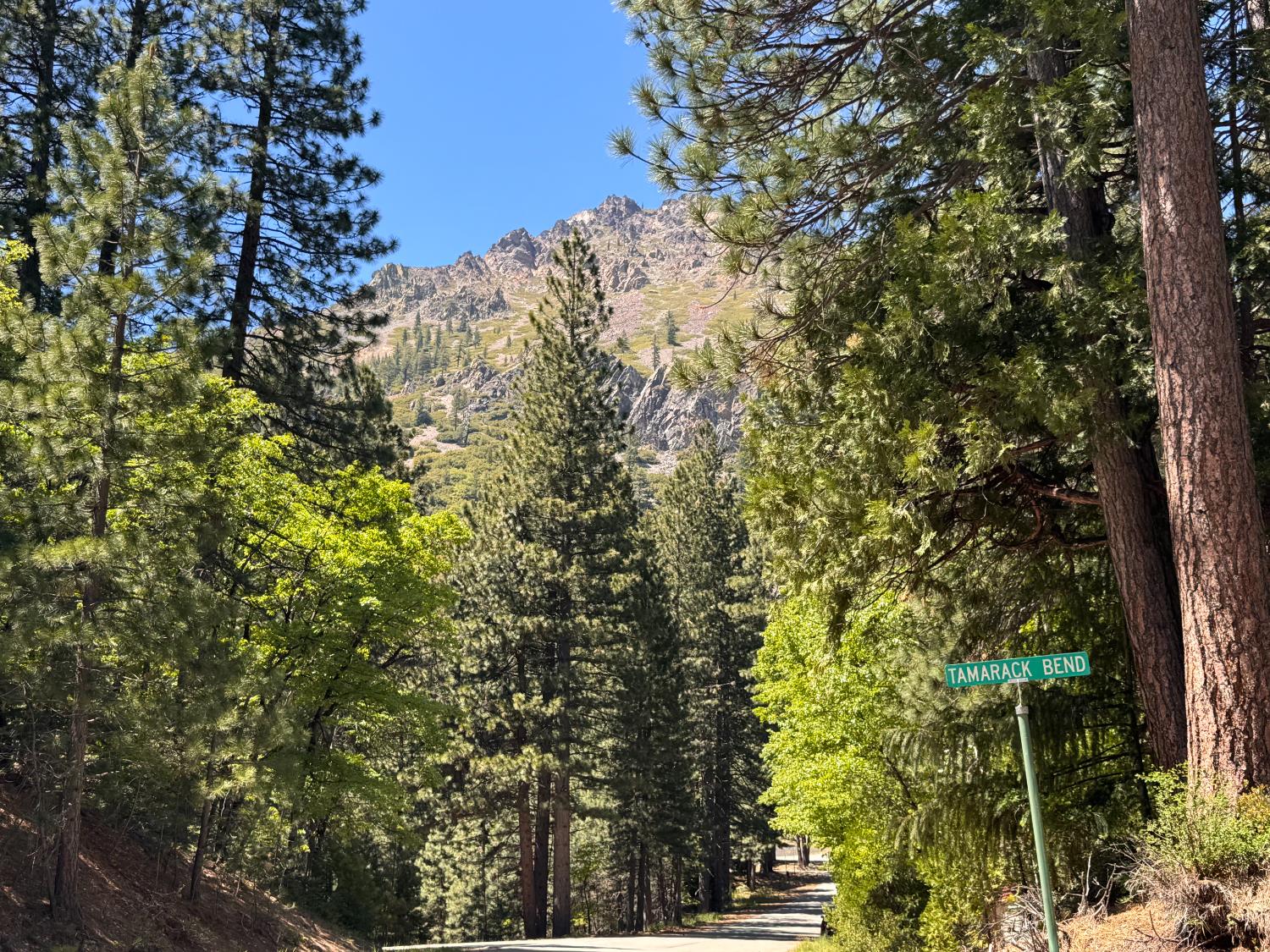 Tamarack Bend, Sierra City, California image 6