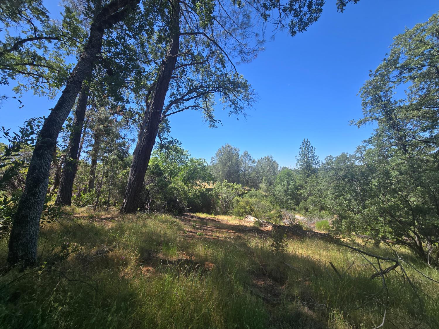 Stewart Mine Road, Placerville, California image 22