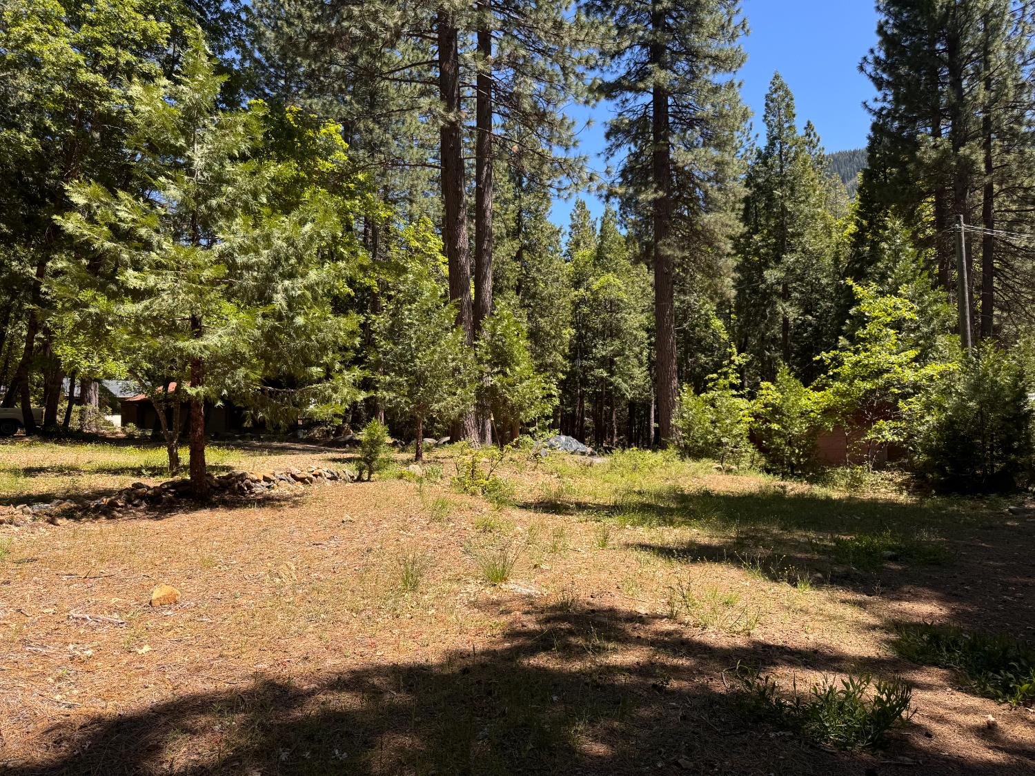 Tamarack Bend, Sierra City, California image 8