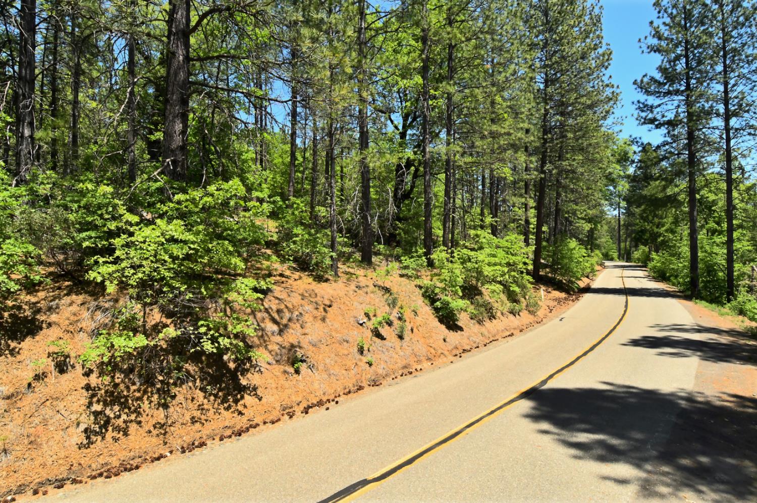 Detail Gallery Image 52 of 52 For 6832 Dudley Ranch Rd, Coulterville,  CA 9531 - 3 Beds | 2 Baths