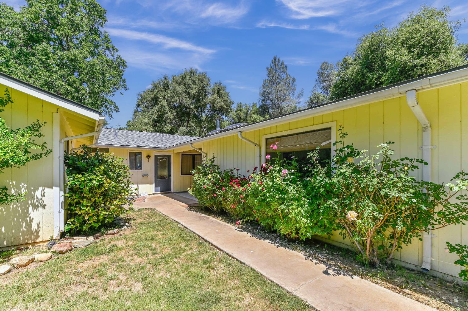 Appaloosa Way, Angels Camp, California image 3