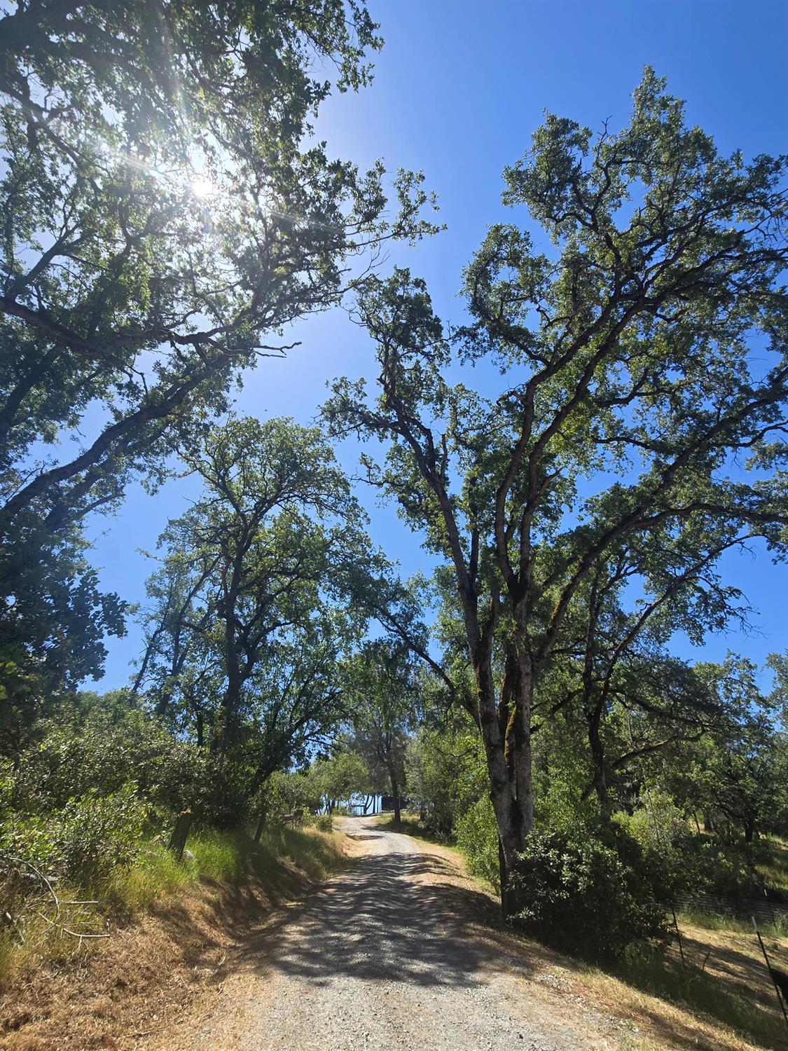 Stewart Mine Road, Placerville, California image 17
