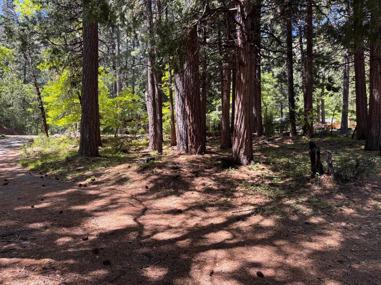Tamarack Bend, Sierra City, California image 16