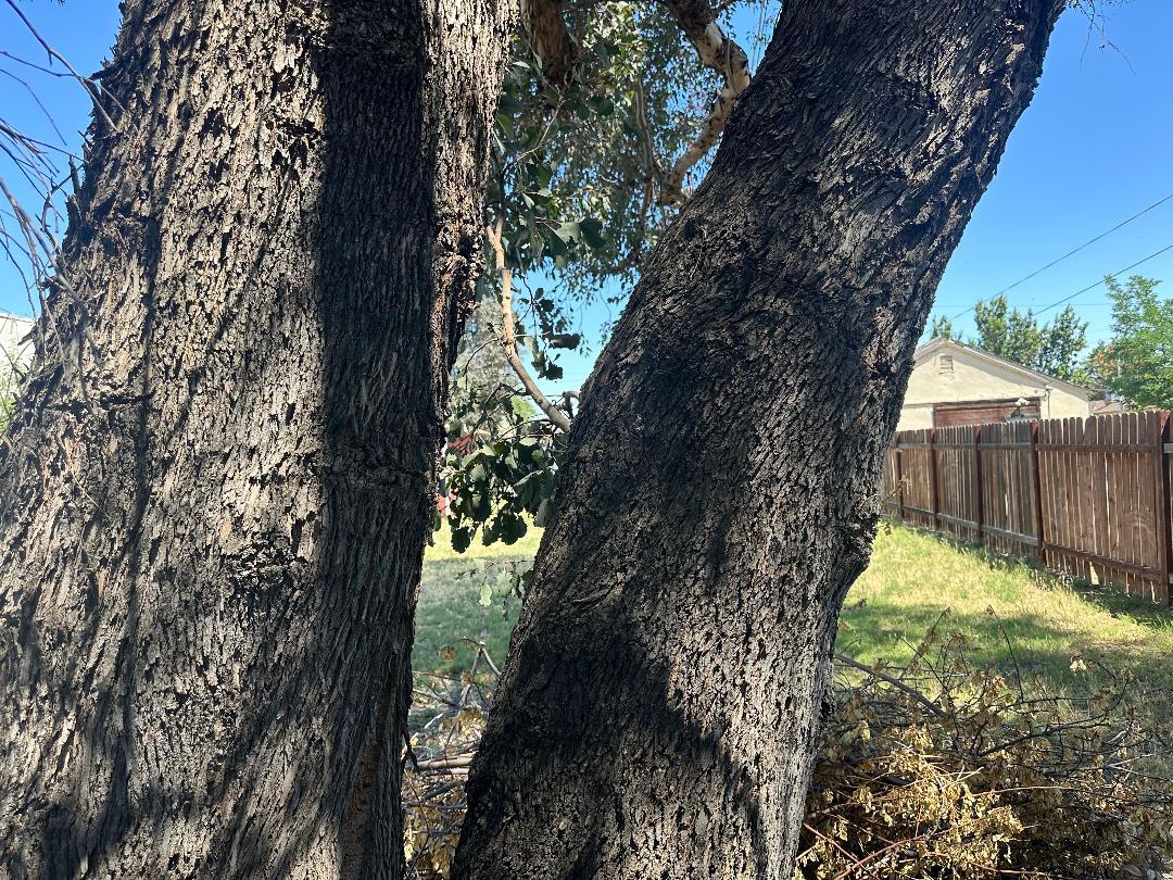 Detail Gallery Image 4 of 26 For 2525 Blossom St, Dos Palos,  CA 93620 - 2 Beds | 2/1 Baths