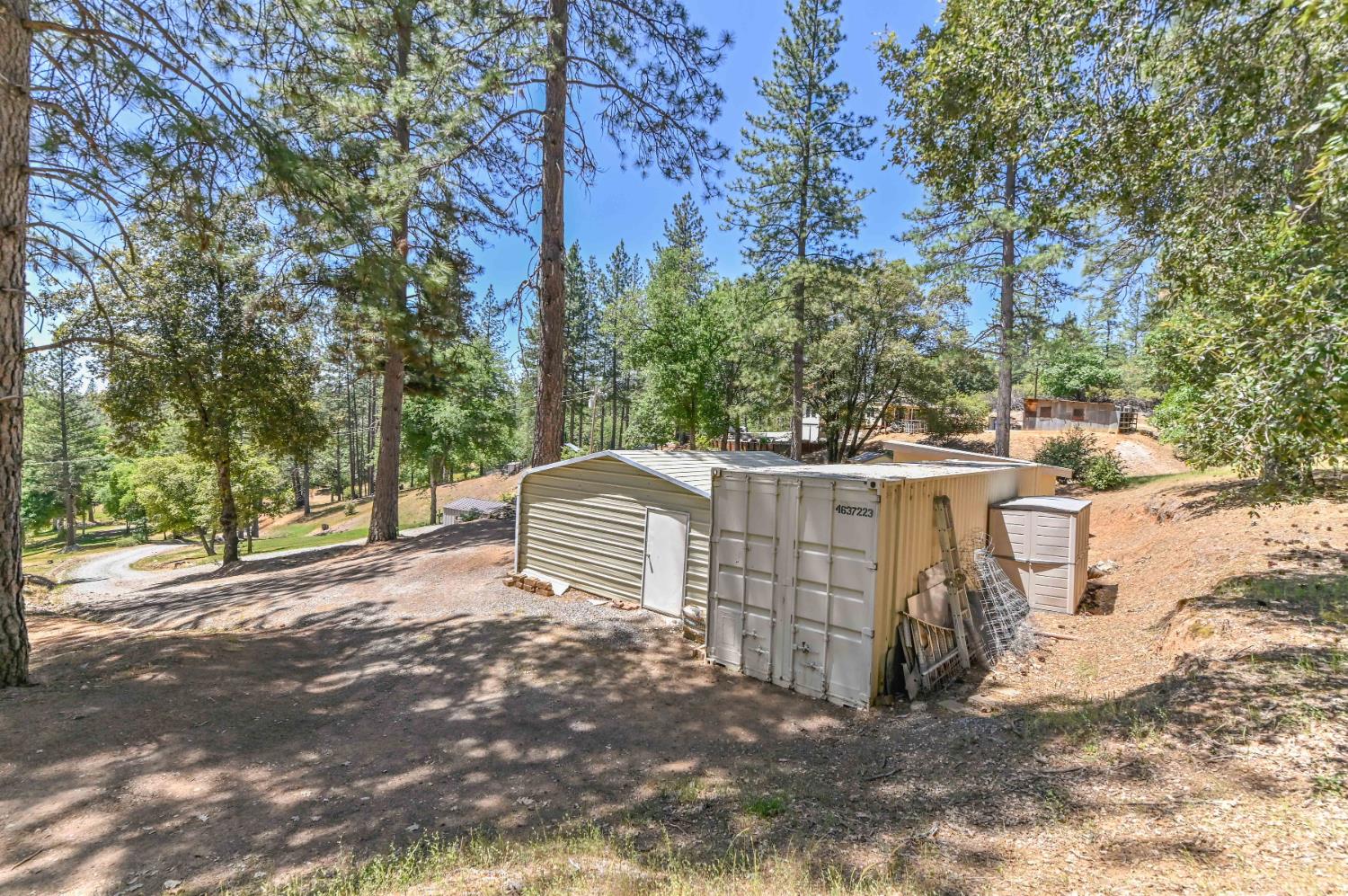 Gorley Lane, Rail Road Flat, California image 45