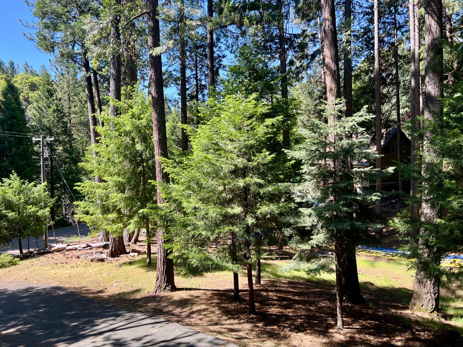 Creekside Drive, Pioneer, California image 12